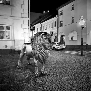 Trutnovský lev před galerií cernobila fotografie