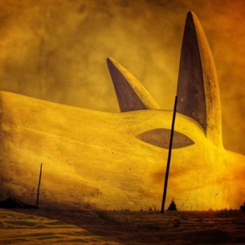 abstraktní pes jaroslava kavalka