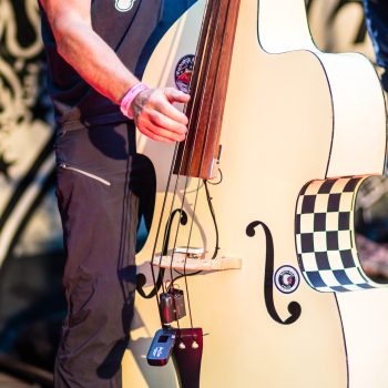 účinkující z kapely přehmat při koncertu na dvoračka festu