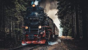 jedoucí parní lokomotiva skrz les