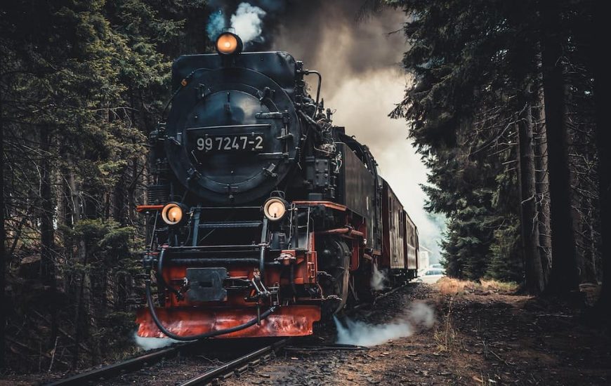 jedoucí parní lokomotiva skrz les